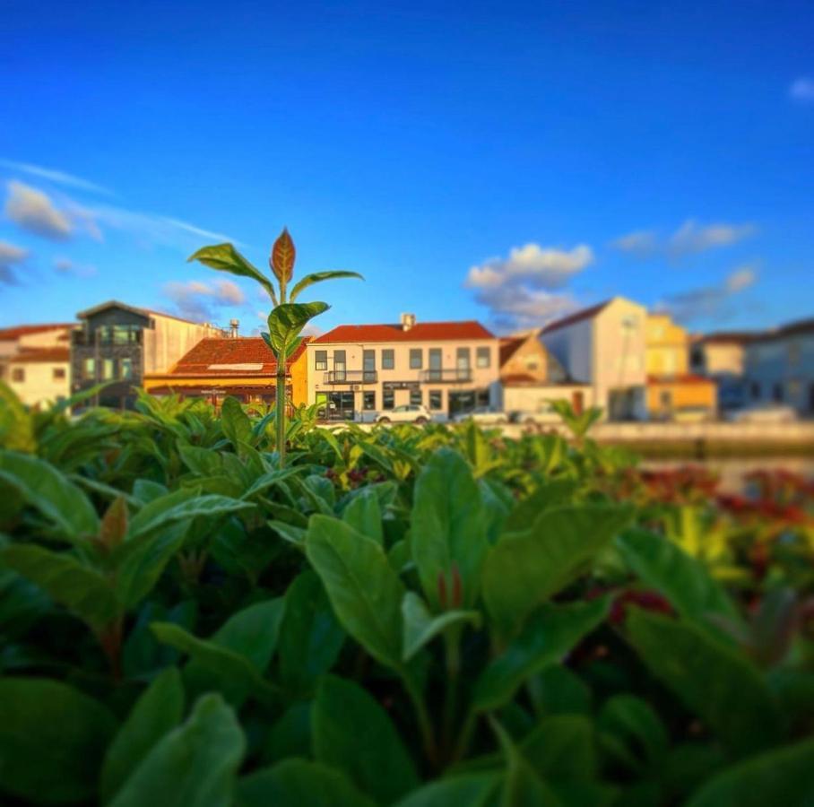 Up Tree Nature Rooms Aveiro Bagian luar foto